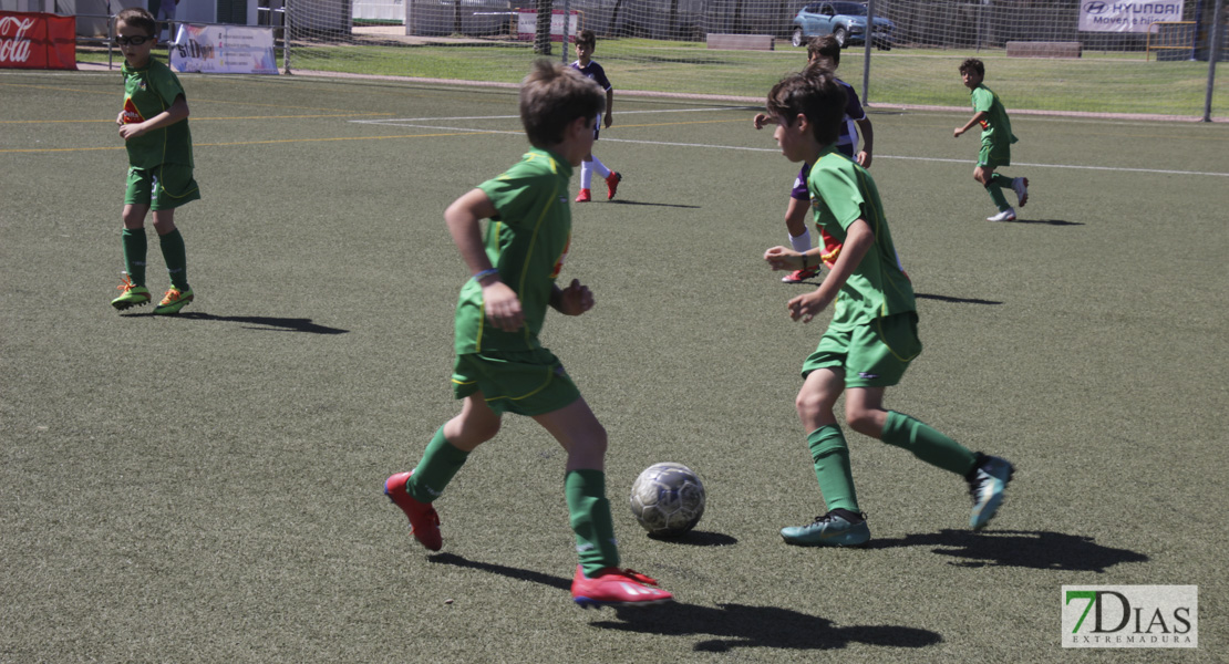 Imágenes del Mundialito de Clubes de Badajoz II