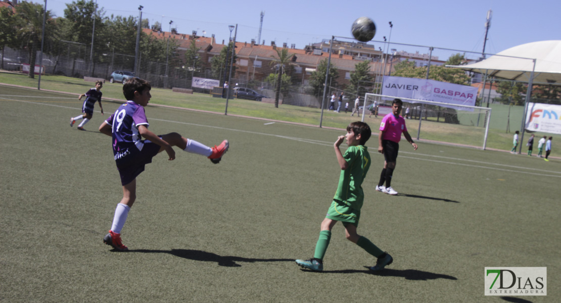 Imágenes del Mundialito de Clubes de Badajoz II