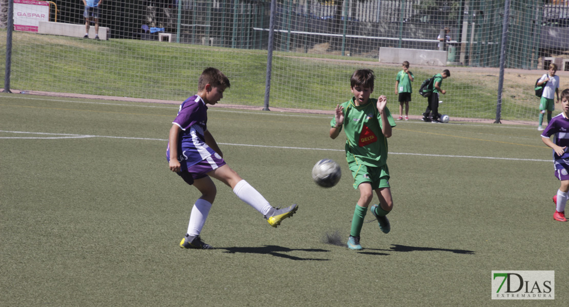 Imágenes del Mundialito de Clubes de Badajoz II