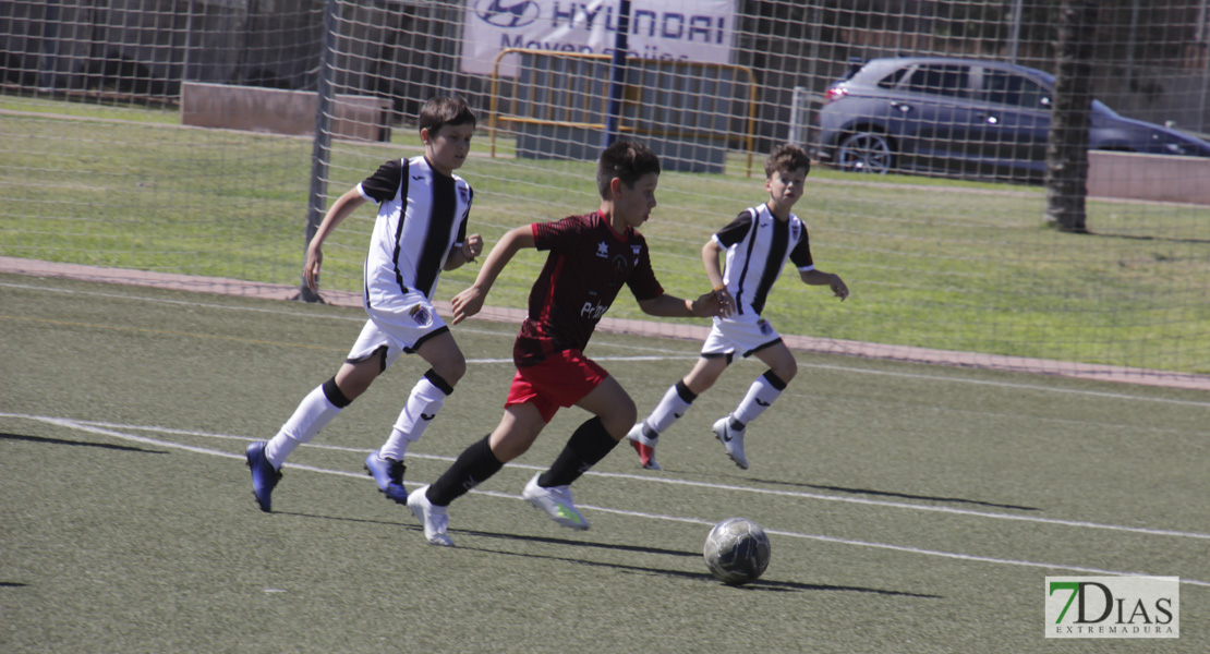 Imágenes del Mundialito de Clubes de Badajoz II