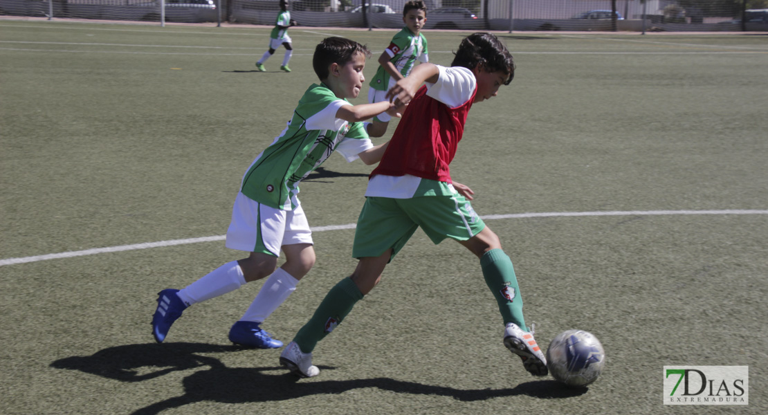 Imágenes del Mundialito de Clubes de Badajoz II