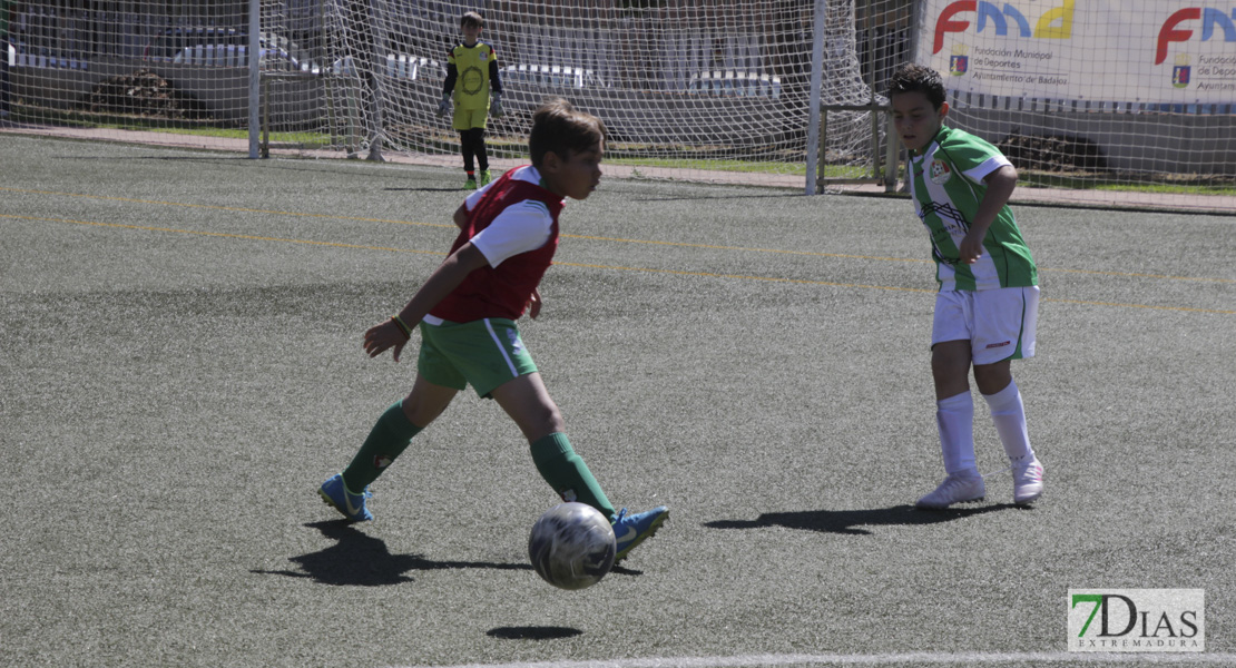 Imágenes del Mundialito de Clubes de Badajoz II