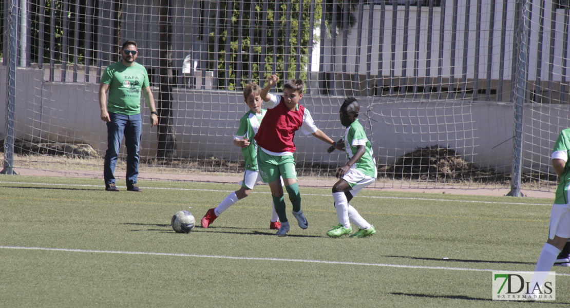 Imágenes del Mundialito de Clubes de Badajoz II