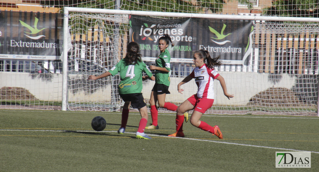 Imágenes de la IX Women&#39;s Cup I