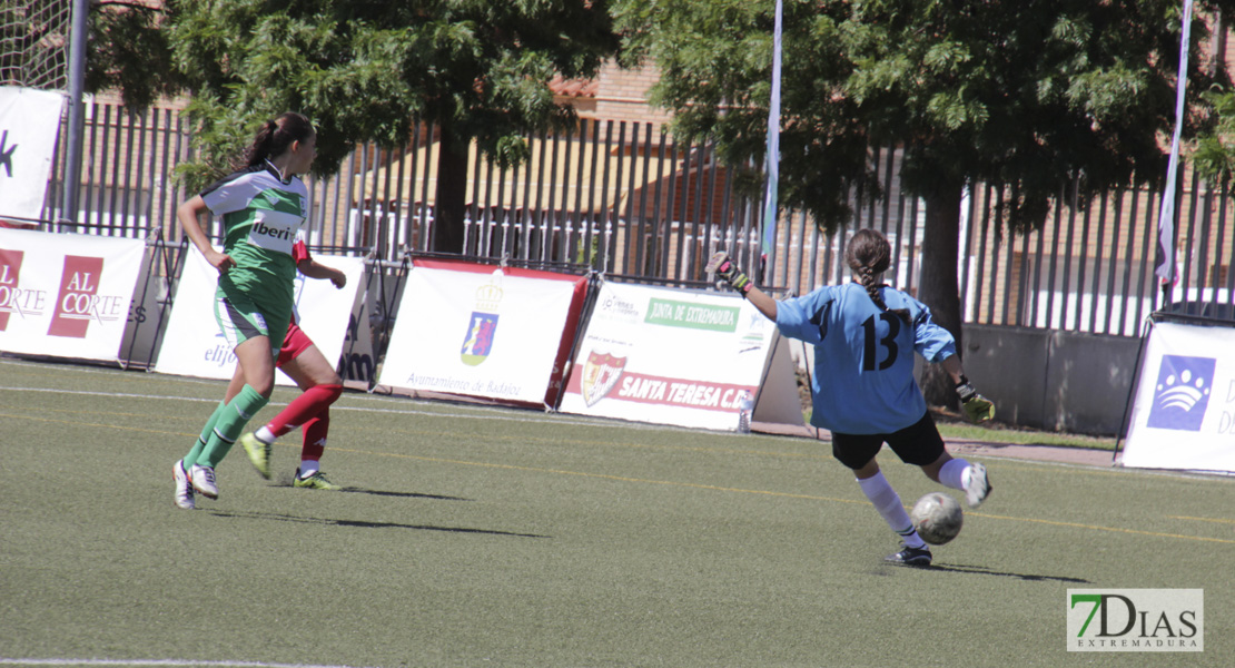 Imágenes de la final de la IX Women&#39;s Cup