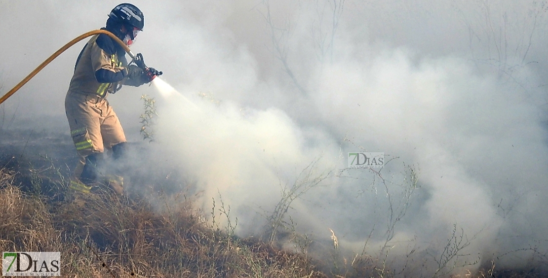 Incendio forestal en Balboa (Badajoz)