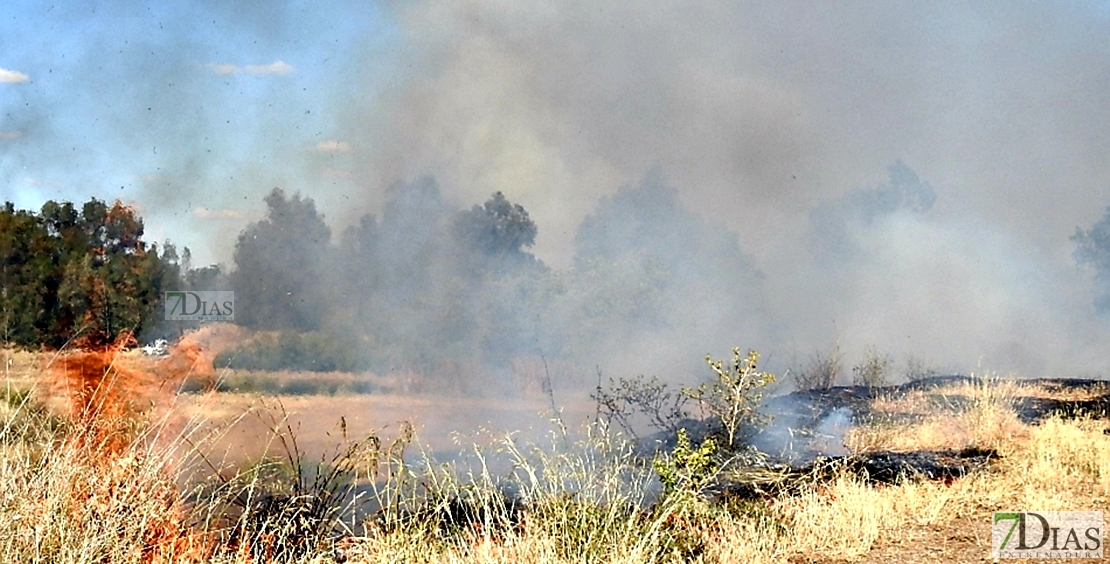 Incendio forestal en Balboa (Badajoz)