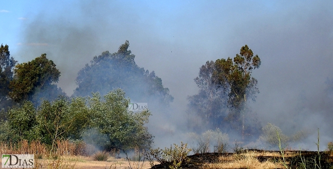 Incendio forestal en Balboa (Badajoz)