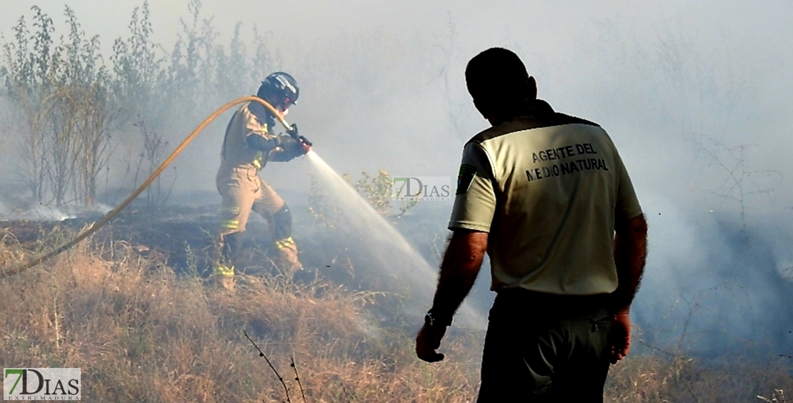 Incendio forestal en Balboa (Badajoz)