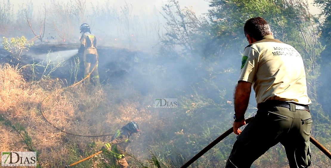 Incendio forestal en Balboa (Badajoz)