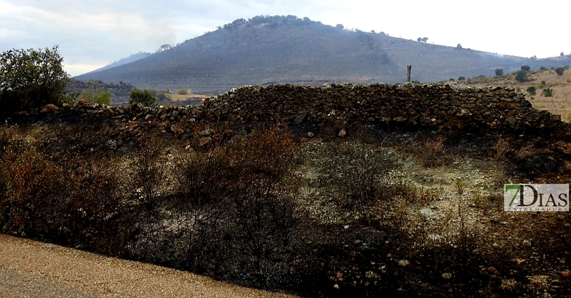 REPOR: El incendio en las cercanías de Alburquerque desde dentro