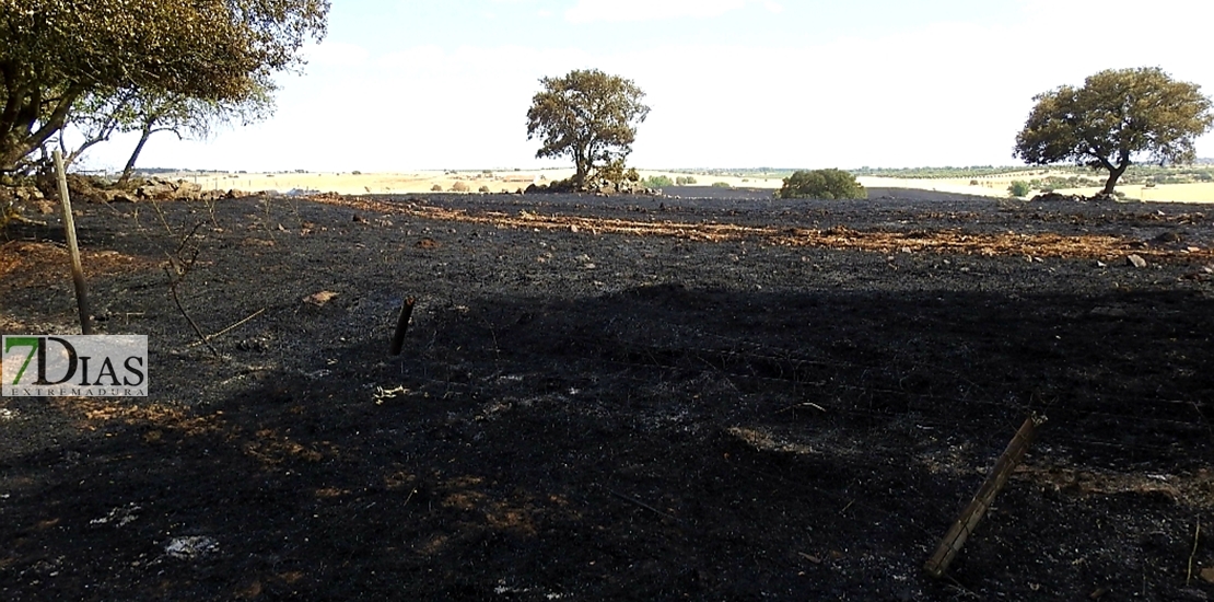 REPOR: Imágenes del incendio en La Raya