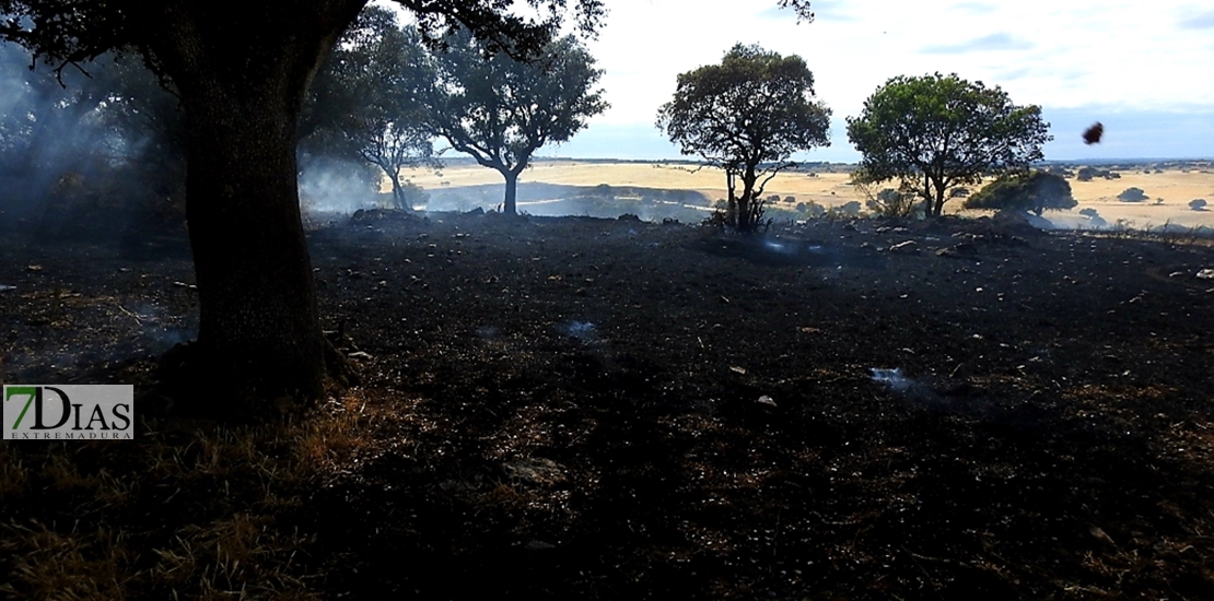 REPOR: Imágenes del incendio en La Raya