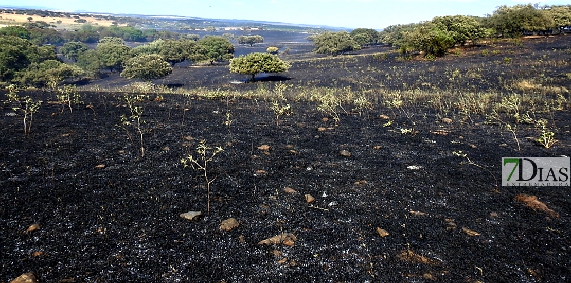 REPOR: Imágenes del incendio en La Raya