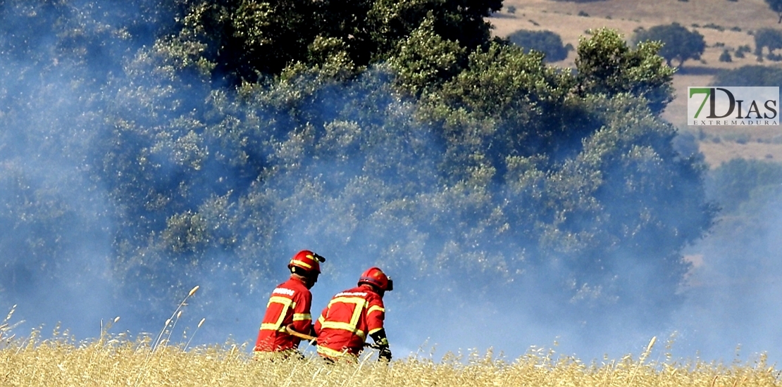 REPOR: Imágenes del incendio en La Raya