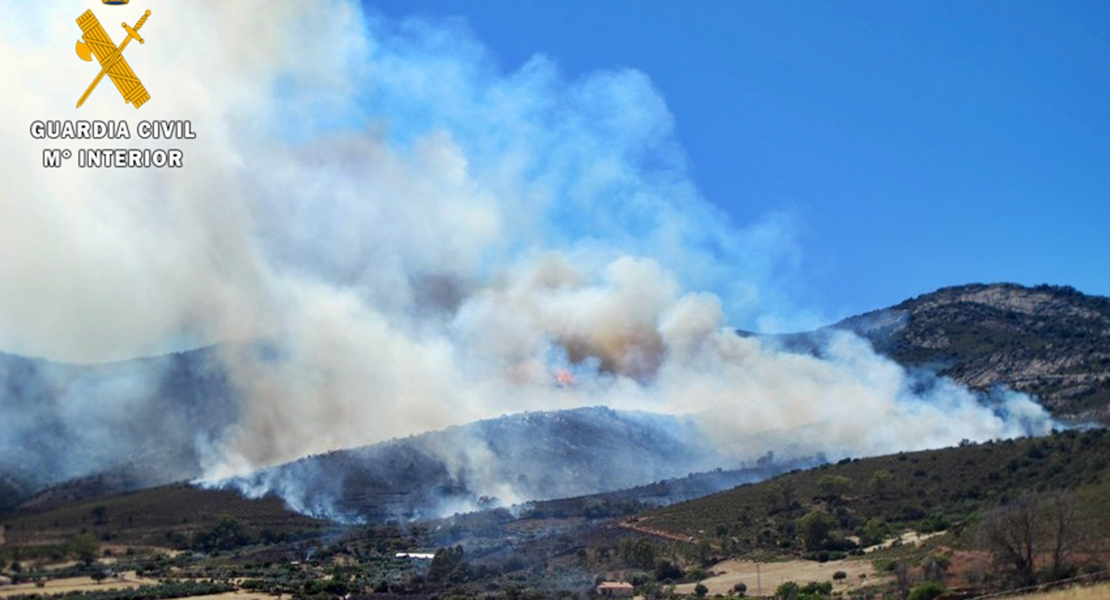 Investigadas 5 personas por varios incendios forestales de la región