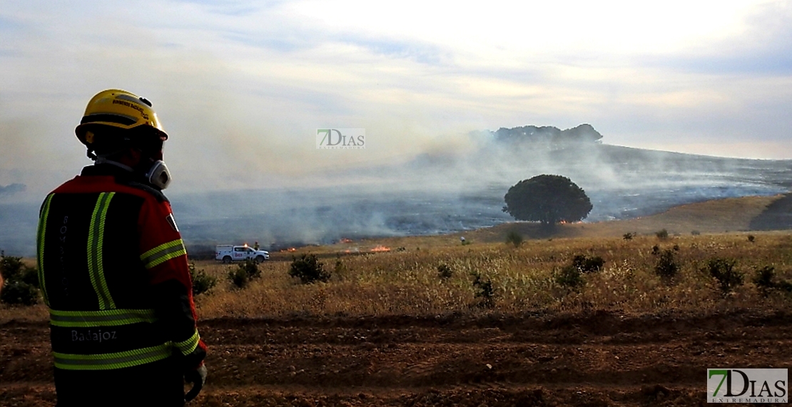 Los Bomberos evitan que un gran incendio llegue a San Isidro