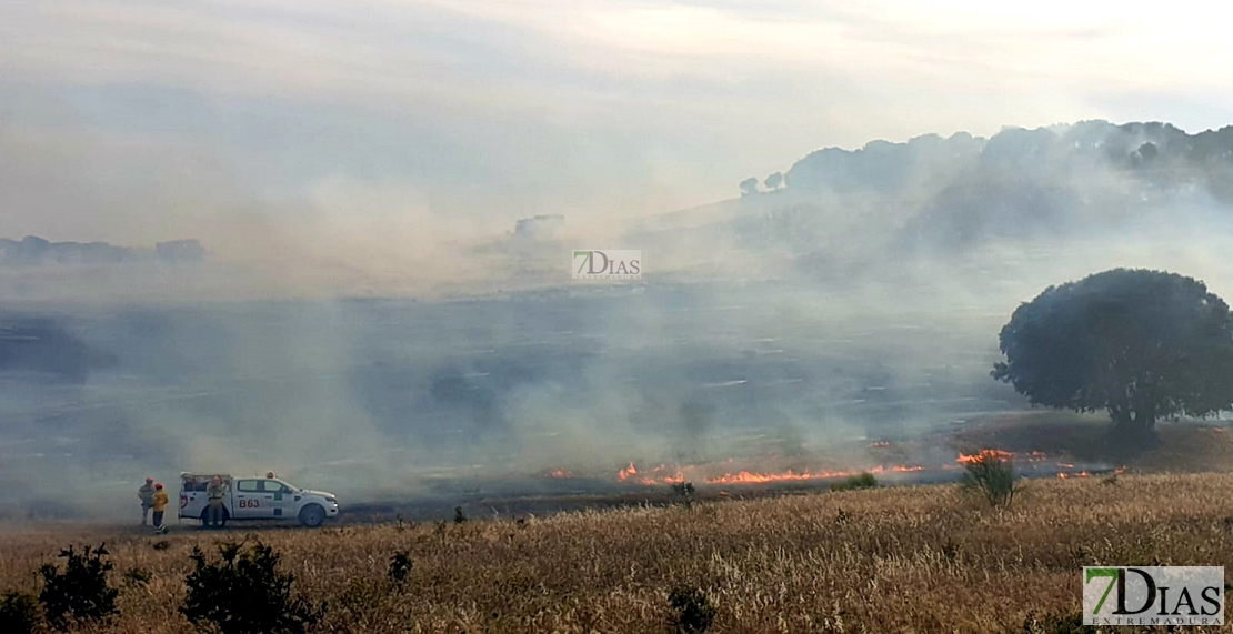 Los Bomberos evitan que un gran incendio llegue a San Isidro