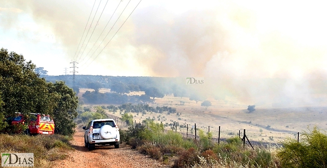 Los Bomberos evitan que un gran incendio llegue a San Isidro