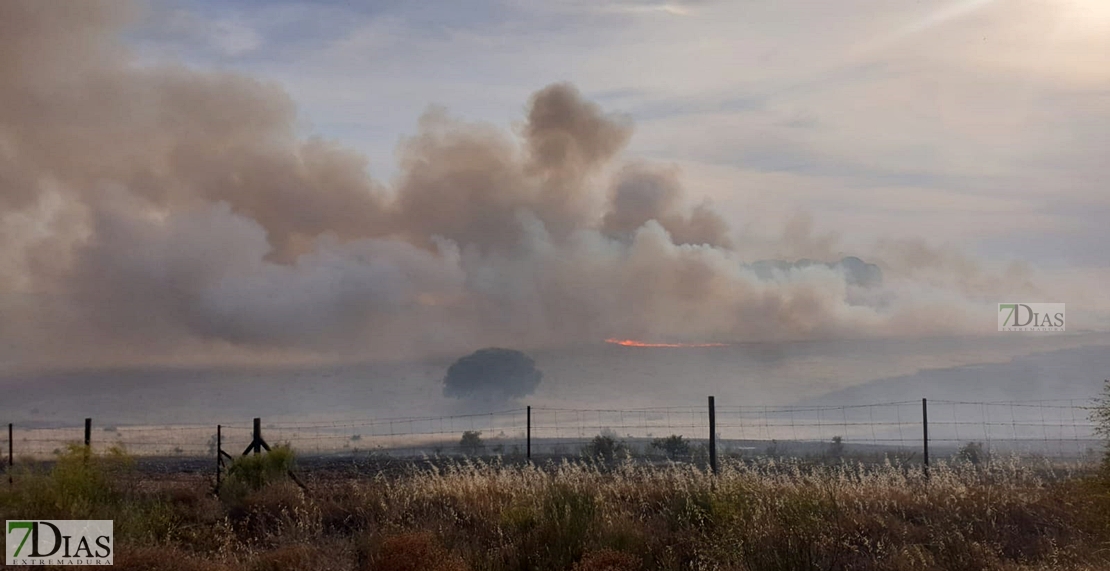 Los Bomberos evitan que un gran incendio llegue a San Isidro