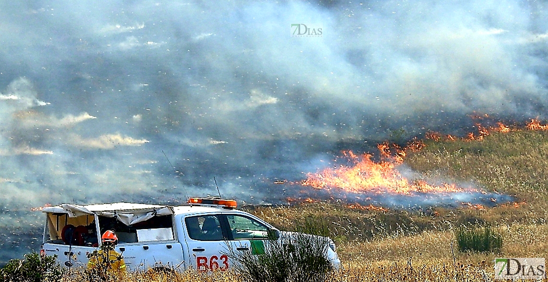 Los Bomberos evitan que un gran incendio llegue a San Isidro