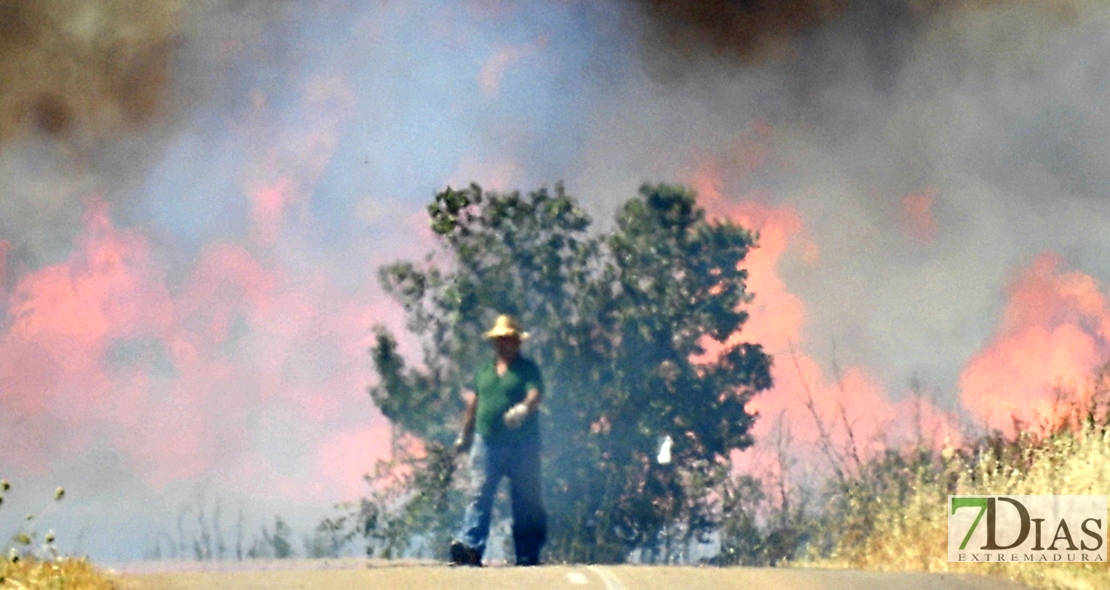 REPOR: Imágenes del incendio cercano a la Urb. Río Caya (Badajoz)