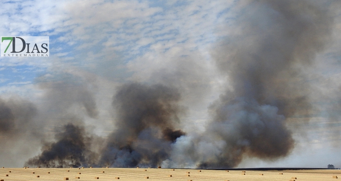 REPOR: Imágenes del incendio cercano a la Urb. Río Caya (Badajoz)