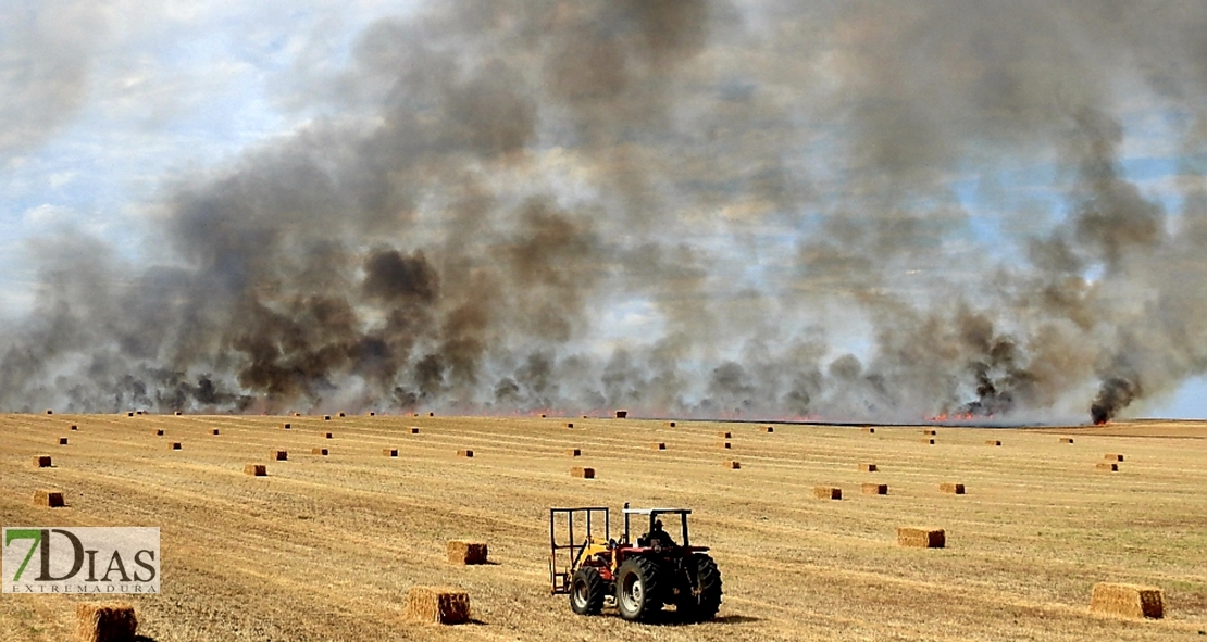 REPOR: Imágenes del incendio cercano a la Urb. Río Caya (Badajoz)