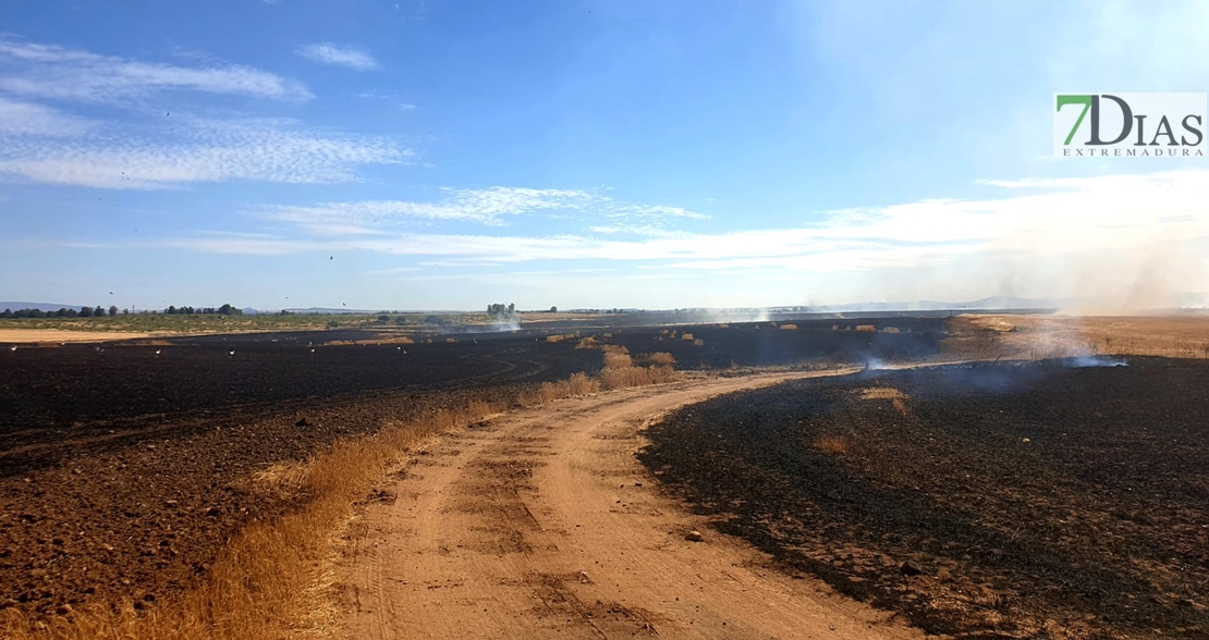 REPOR: Imágenes del incendio cercano a la Urb. Río Caya (Badajoz)