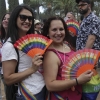 Imágenes de Los Palomos 2019 I