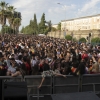 Imágenes de Los Palomos 2019 II