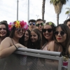 Imágenes de Los Palomos 2019 II