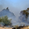 Incendio forestal en Balboa (Badajoz)