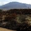 REPOR: El incendio en las cercanías de Alburquerque desde dentro