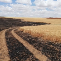 UPA: “El Gobierno sigue sin dar pasos para apoyar a los afectados por la sequía”