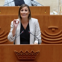 PSOE defiende el consenso de Vara para que Extremadura avance