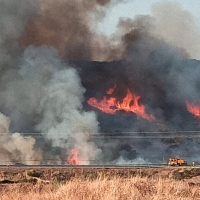 Incendio forestal en Cañaveral (Cáceres)