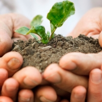 Extremadura y Portugal trabajarán para formar a 225 empresas en Economía Verde y Circular