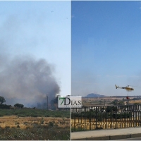 Bomberos y helicóptero del INFOEX intentan sofocar un incendio de pastos en Mérida