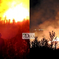 Incendio de pastos cercano a viviendas en Badajoz