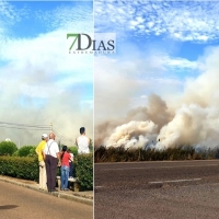 Incendio contiguo a la pedanía pacense de Gévora