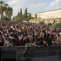 PALOMOS 2019 - Un joven es agredido en el entorno de Puerta de Palmas