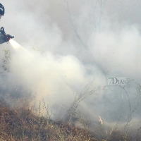 Incendio forestal en Balboa (Badajoz)