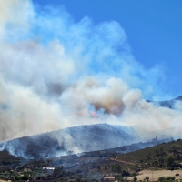 Investigadas 5 personas por varios incendios forestales de la región