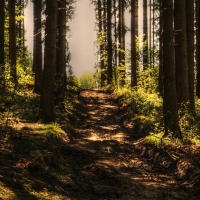 Navalmoral se prepara para la marcha nocturna ‘Ruta de las Fuentes’