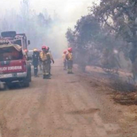 Controlado el incendio junto al recinto ferial cacereño