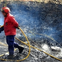 REPOR: Imágenes del incendio en La Raya