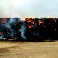 Los Bomberos actúan en el incendio de una niara en Alburquerque