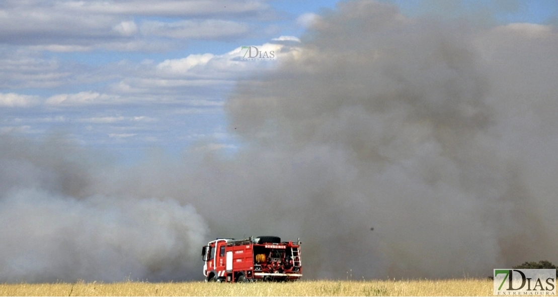 Grave incendio forestal en la Raya