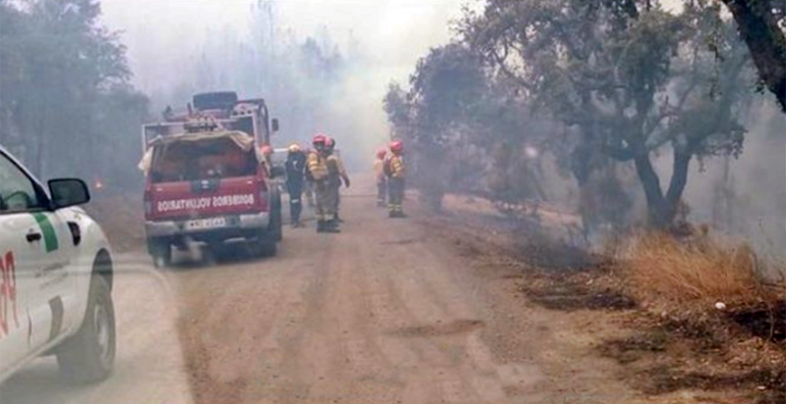 Controlado el incendio junto al recinto ferial cacereño